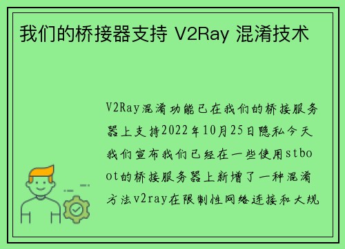 我们的桥接器支持 V2Ray 混淆技术 